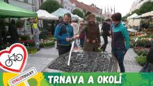 Trnava: Cyklotoulky slovenským městem automobilů a jeho okolím Trnava: Cyklotoulky slovenským městem automobilů a jeho okolím