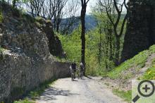 Cesta na Tolštejn není rozhodně procházka rozkvetlou loukou